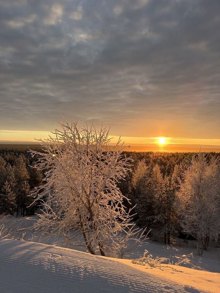 Lapland Reise mit Linda